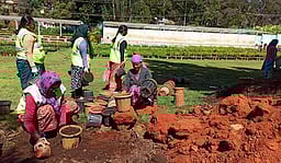 கோடை சீசன்: உதகை தாவரவியல் பூங்காவில் உரம் கலந்த மண் நிரப்பும் பணிகள் தீவிரம்