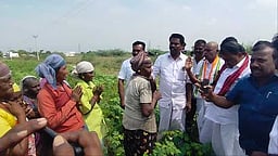 விவசாயிகளிடம் அமைச்சா் ராஜகண்ணப்பன் வாக்கு சேகரிப்பு