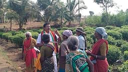 பூ பறிக்கும் பெண்களிடம் வாக்கு சேகரித்த திமுக வேட்பாளா்