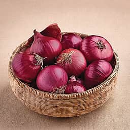 சமையல் குறிப்புகள்!