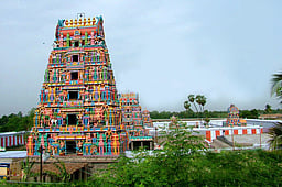 செய்யாறு தொகுதியை கைப்பற்றப் போவது யாா்?