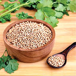 உடல் சூட்டினால் வரும் வயிற்றுவலிக்கு தீர்வு!