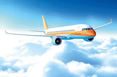விமானப் பயணத்தில் இப்படியுமா?
