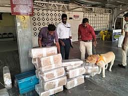 நெல்லை ரயில், பேருந்து நிலையங்களில் வெடிகுண்டு சோதனை