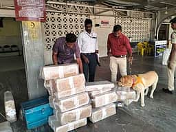 நெல்லை ரயில், பேருந்து நிலையங்களில் வெடிகுண்டு சோதனை