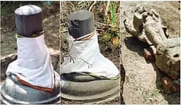 கோயில் உழவாரப் பணியின் போது கிடைத்த கற்சிலைகள்!