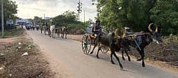 ஆப்பனூரில் இரட்டை மாட்டு வண்டிப் பந்தயம்