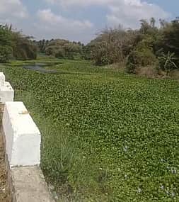 கழிவுகள் கொட்டும் இடமாக மாறிவரும் அரசலாறு! தடுக்க நடவடிக்கை தேவை!