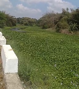 கழிவுகள் கொட்டும் இடமாக மாறிவரும் அரசலாறு! தடுக்க நடவடிக்கை தேவை!