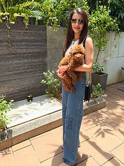 நடிகை திரிஷா வீடு உள்பட 3 இடங்களுக்கு வெடிகுண்டு மிரட்டல்