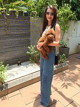 நடிகை திரிஷா வீடு உள்பட 3 இடங்களுக்கு வெடிகுண்டு மிரட்டல்