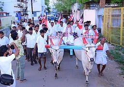 மாட்டு வண்டியை ஓட்டி வாக்கு சேகரிப்பு!