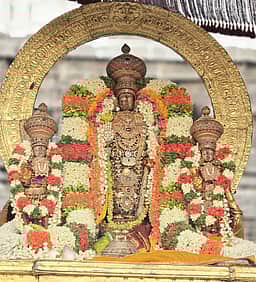 தமிழ்ப் புத்தாண்டு: காஞ்சிபுரம் வரதராஜப் பெருமாள் வீதியுலா