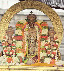 தமிழ்ப் புத்தாண்டு: காஞ்சிபுரம் வரதராஜப் பெருமாள் வீதியுலா