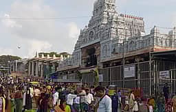 திருச்செந்தூரில் சித்திரை விசு கனி! ஆயிரக்கணக்கானோர் சுவாமி தரிசனம்!!