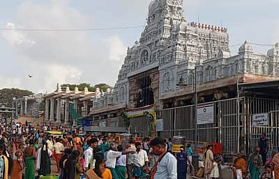 திருச்செந்தூரில் சித்திரை விசு கனி! ஆயிரக்கணக்கானோர் சுவாமி தரிசனம்!!