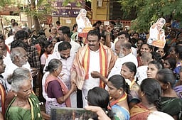 ராமையன்பட்டியில்
தவெக வேட்பாளா் வாக்கு சேகரிப்பு