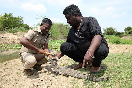 மீன் வளா்ப்பு குட்டையில் 
முதலை மீட்பு