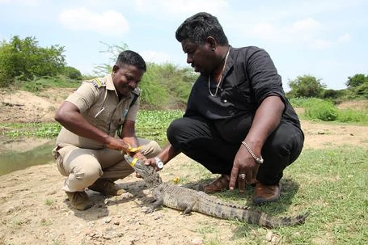 News image