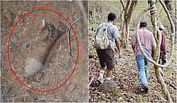 ராக்கெட் லாஞ்சர் வெடித்து ‘டிரெக்கிங்’ சென்ற மாணவர் பலி!