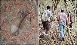 ராக்கெட் லாஞ்சர் வெடித்து ‘டிரெக்கிங்’ சென்ற மாணவர் பலி!