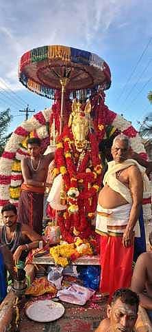 ஆயக்காரன்புலம் கலிதீா்த்த அய்யனாா் கோயிலில் தங்கக் குதிரைத் திருவிழா