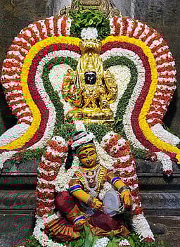 சிறப்பு அலங்காரத்தில் பாவாடைக்காரியம்மன்...