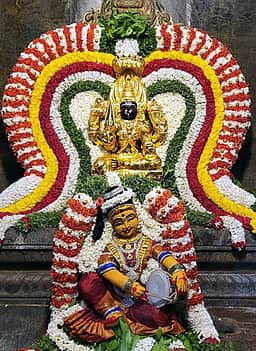 சிறப்பு அலங்காரத்தில் பாவாடைக்காரியம்மன்...