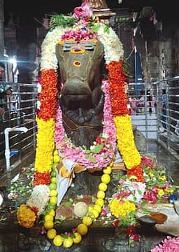 சித்திரை பிரதோஷம்: சிவாலயங்களில் சிறப்பு வழிபாடு