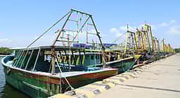 மீன்பிடித் தடைக்காலம் தொடங்கியது: மீன்கள் விலை உயர வாய்ப்பு