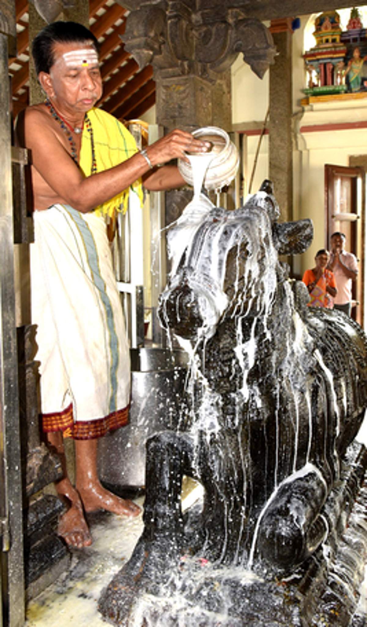 News image