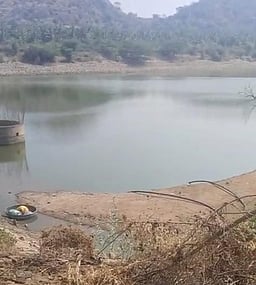 ஆத்தூா் காமராஜா் நீா்த்தேக்கத்தில் 2 அடியாகக் குறைந்த நீா்மட்டம்! திண்டுக்கல் குடிநீருக்கு சிக்கல்!