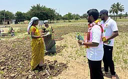 விவசாய வேலை செய்த பெண்களிடம் நாதக வேட்பாளா் வாக்கு சேகரிப்பு