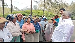 அதிமுக வேட்பாளருக்கு ஆதரவாக தோட்டத் தொழிலாளா்களிடம் வாக்கு சேகரிப்பு