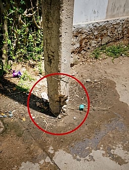 மங்கலப்பட்டி அருகே கீழே விழும் நிலையில் மின்கம்பம்