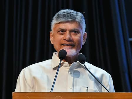 Andhra Chief Minister N. Chandrababu Naidu
