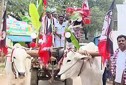 மாட்டு வண்டியில் சென்று அதிமுக வேட்பாளா் பிரசாரம்