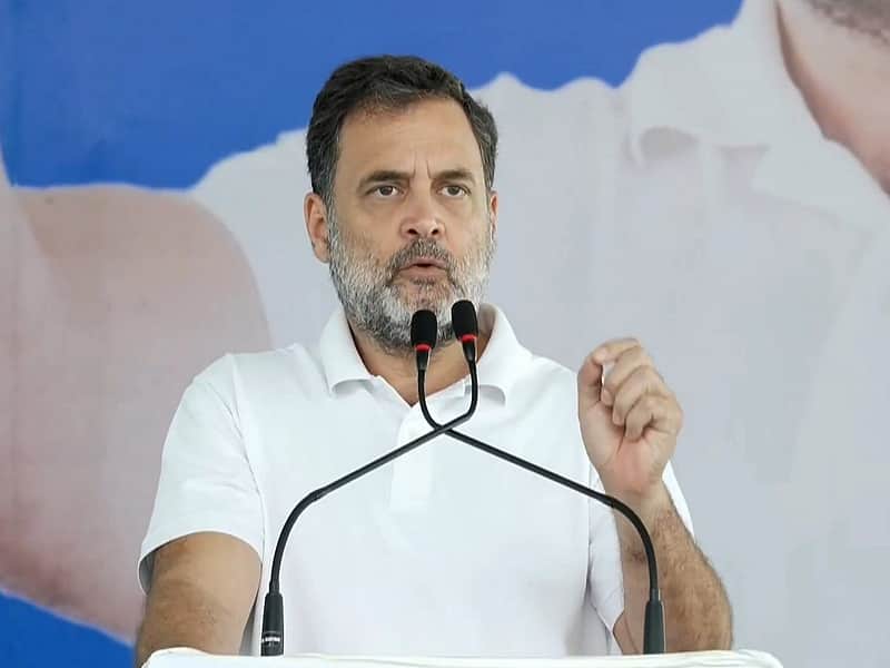 Rahul Gandhi Tamilnadu Election campaign
