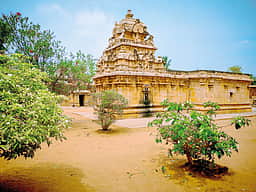 தேடித் தேடி...