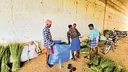 தர்ப்பையின் தேவை...