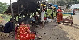 ‘கசக்கும்’ முந்திரி தொழில்!