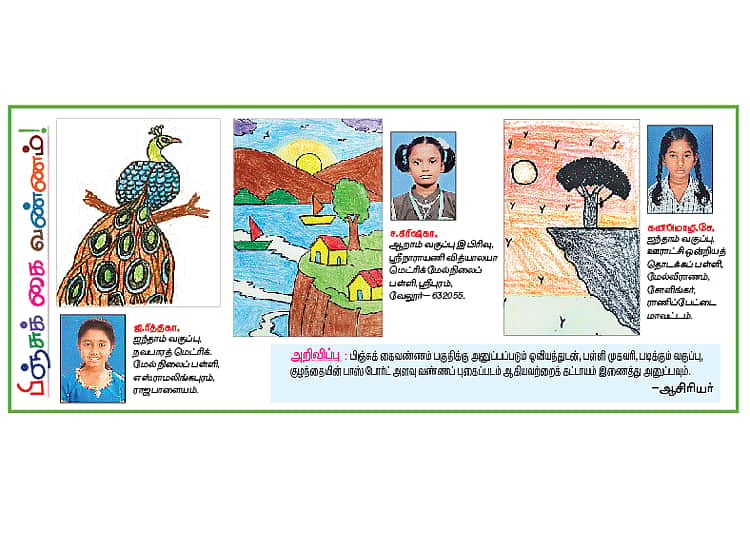 News image