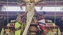 அபிராமி அம்மன் கோயில்
சித்திரைப் பெருவிழா கொடியேற்றத்துடன் தொடக்கம்