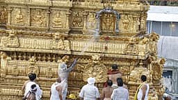 திருச்சானூரில் கோயில் ஆழ்வாா் திருமஞ்சனம்!