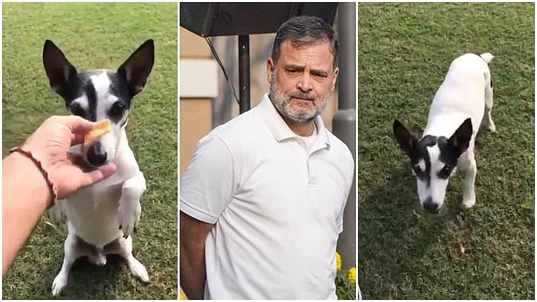 எதிர்க்கட்சித் தலைவர்களைவிட வளர்ப்பு நாய்க்கு முக்கியத்துவம் கொடுக்கிறாரா ராகுல்?