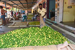 வீட்டுப் பராமரிப்பில் எலுமிச்சை ஒரு வரப்பிரசாதம்!
