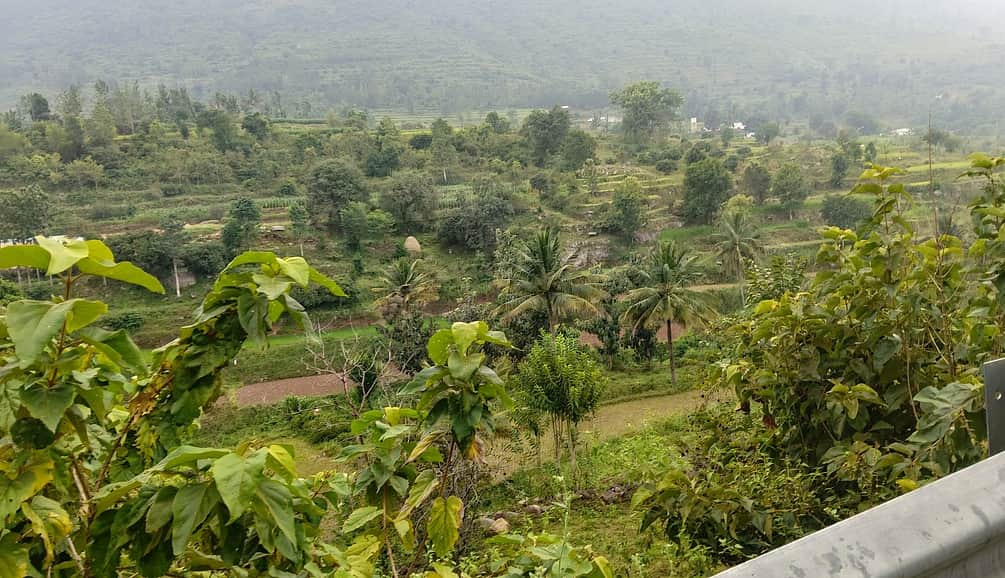 சுற்றுலாத் தலமாகுமா ஆனைமடுவு, கரியக்கோயில் அணைகள்? ஏற்காடு தொகுதி மக்களின் 20 ஆண்டுகால எதிா்பாா்ப்பு!