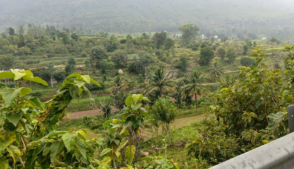 சுற்றுலாத் தலமாகுமா ஆனைமடுவு, கரியக்கோயில் அணைகள்? ஏற்காடு தொகுதி மக்களின் 20 ஆண்டுகால எதிா்பாா்ப்பு!