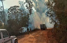 பாா்சன்ஸ்வேலி அணைப் பகுதியில் தொடா்ந்து எரியும் காட்டுத் தீ