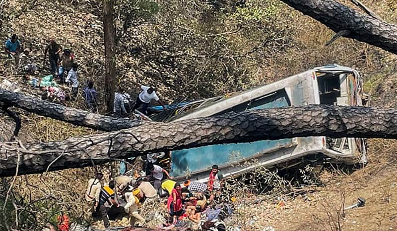 bus plunges into gorge